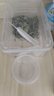 沃绣 蚕宝宝当天发货 蚕宝宝活体蚕卵小蚕彩色蚕桑叶新鲜桑叶养蚕套装 学生标准养蚕套装 实拍图