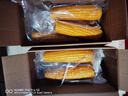 东北农嫂糯玉米甜糯香粘真空装黏玉米棒粒吉林产低脂主食可选有机 【糯9】黄糯礼盒 2kg*1箱 约10穗 实拍图