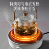 小熊（Bear）电陶炉 迷你煮茶炉 老白茶红茶普洱养生茶炉小型家用加热多功能不挑锅轻音烹煮围炉煮茶 DTL-J13Z5 实拍图