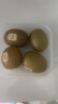 佳沛（zespri）新西兰  金果16粒猕猴桃礼盒经典果单果 77-103g 端午节水果礼盒 实拍图
