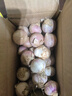 志褚独头蒜大蒜头 2024云南大理紫皮独蒜 精品新鲜现挖湿蒜 1斤装【珍珠小蒜2.2cm以下】 实拍图