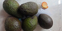 京鲜生 秘鲁进口牛油果 大果4粒装 单果130g+（非即食） 生鲜水果 实拍图