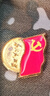 易利丰（elifo）磁吸党徽强磁2025最新版党员徽章党徽胸章别针款胸针国家标准款加厚2cm双面大磁扣蝴蝶镀金不褪色 实拍图