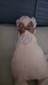 澳贝（auby）婴幼儿童玩具星座小兔安抚巾宝宝哄睡神器新生儿毛绒手偶满月礼物 实拍图