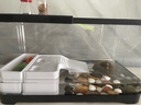 阔庭乌龟缸生态缸宠物饲养箱透明爬宠专用黑色款 实拍图