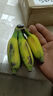 正宗广西小米蕉自然熟鹏茂新鲜香蕉青蕉发货产地直发新鲜水果酸甜 米蕉1斤 实拍图