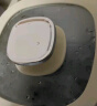 九阳（Joyoung）净萃养生壶迷你家用全玻璃煮茶器 轻音炖煮 1L办公室0金属0胶水恒温烧水壶 WY103 实拍图