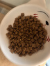 皇家猫粮猫奶糕幼猫成猫全阶段猫粮10kg1-4月室内布偶英短蓝猫绝育 K36幼猫猫粮（10kg） 实拍图