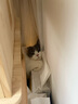 曼赤肯（Munchkin）AD罐头处方湿粮猫狗康复护理维生素产后术后营养易消化粮85g*12  实拍图