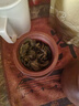 福茗源茶叶 台湾冻顶乌龙茶 浓香特级2025新茶冷泡茶袋装250g茶叶自己喝 实拍图