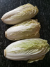【超市品质】新鲜精品娃娃菜现砍现发小包装新鲜蔬菜生鲜产地直发 新鲜娃娃菜1*(3棵)*1包 实拍图