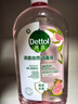 滴露（Dettol）香氛衣物消毒液植源杀菌除霉味持久留香儿童洗衣玩具消毒水1000ml 晒单实拍图