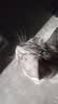 小可爱猫粮桶装5斤成猫幼猫毛球管理猫粮英短折耳消化系统全阶段天然粮 毛球管理猫粮2.5kg 实拍图