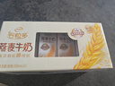 伊利【新鲜日期】谷粒多 燕麦牛奶整箱 200ml*12盒 礼盒装 低GI食品 实拍图