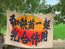 金燕耳高山生态双有机银耳红枣桂圆干货银耳羹礼盒 送礼推荐 实拍图