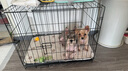 憨憨宠 狗笼猫笼 狗笼子小型犬带厕所幼犬折叠便携猫笼子宠物笼具兔笼 黑色 前出盘狗丝笼 70*50*60cm 实拍图