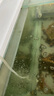 松宝（sobo）鱼缸增氧泵养鱼氧气泵小型家用充氧泵水族箱打氧机增氧泵 双孔3W 实拍图