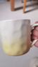 彩致（CAIZHI）马克杯家用陶瓷水杯早餐杯学生泡茶杯办公室咖啡杯 六件套CZ6897 实拍图