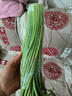 富硒鸡蛋45-55g/枚新鲜鸡蛋土鸡蛋溏心蛋早餐买菜京东包邮溏心蛋 富硒鸡蛋8枚 实拍图