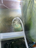 森森（SUNSUN）水妖精鱼缸迷你小型生化棉过滤器反气举气动式过滤设备 水妖精1个 实拍图