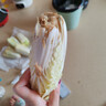 云南高原娃娃菜新鲜蔬菜生鲜乾隆白菜早餐火锅必备产地直发 浅黄色 新鲜娃娃菜3颗装*1包 实拍图