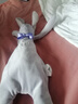 澳贝（auby）婴幼儿童玩具星座小兔安抚巾宝宝哄睡神器新生儿毛绒手偶满月礼物 实拍图