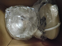 小熊（Bear）养生壶 煮茶壶 恒温水壶 保温烧水一体电热水壶花茶壶 316L不锈钢 1.5L大容量 YSH-J15H8 实拍图