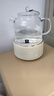 World Kitchen康宁养生壶全玻璃恒温壶煮茶壶煮茶器1L办公室家用花茶壶烧水壶电热水壶（升级标准款+全玻璃盖） 实拍图
