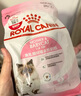 皇家狗粮成犬狗粮 犬粮 宠物小型犬PR27全价犬粮 ≥10月800g 实拍图
