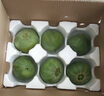 无名农夫绿宝石甜瓜小香瓜蜜脆甜瓜头茬新鲜应季绿皮瓜水果整箱礼盒生鲜 净重9.6精品装（14个果左右） 实拍图