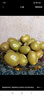 佳沛（zespri）新西兰  阳光金奇异果25-27粒原箱特大果单果约122-146g  猕猴桃 实拍图