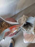 狼孩儿全价猫粮幼猫成猫全阶段通用型多拼冻干猫干粮猫食 鸡肉粒+鸡肝丨冻干三拼粮2.5kg 实拍图
