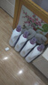 卫新香薰洗衣液薰衣草34.08斤全瓶组合套装(4.26kg*4）机洗手洗去渍 实拍图