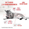 皇家室内成猫粮 I27 通用粮 12月以上 10KG 实拍图