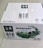 伊利金典纯牛奶整箱 250ml*16盒 3.6g乳蛋白 礼盒装 实拍图