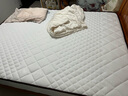 海马飞雪床垫席梦思天然椰棕乳胶独立弹簧床垫酒店厚薄双人家用榻榻米垫子 15cm豪华款(乳胶+椰棕+独立弹簧) 1.5x1.9米 实拍图