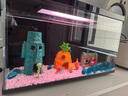 画法几何鱼缸造景海绵宝宝菠萝屋装饰摆件仿真造景沉木鱼缸水族箱造景 海绵宝宝9件套 实拍图