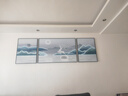 诗六艺家饰客厅装饰画北欧现代简约沙发背景墙挂画三联画大气轻奢壁画晶瓷画 灵韵福鹿（铝合金外框） 镶钻画左右60*80+中间120*80亮面 实拍图