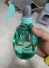 喷壶浇花浇水喷雾器气压式喷水壶家用园艺养花500ml 南瓜喷壶透蓝【1个装】 实拍图