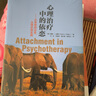 心理治疗中的依恋：从养育到治愈，从理论到实践 实拍图