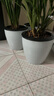 九千谷自动吸水花盆白色5号3个装懒人盆可储水创意简约树脂花盆圆形1053 实拍图