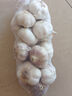山东金乡蒜大蒜出口标准精选大蒜头蔬菜调料单果5cm 【专享】出口网兜925g5-5.5cm特大 实拍图