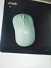 罗技（Logitech）M221 轻音鼠标 无线鼠标 办公鼠标 对称鼠标 带无线微型接收器 薄荷绿 实拍图