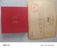 黛米极简系列5-6mm无核淡水珍珠耳钉S925银送女友生日礼物 实拍图