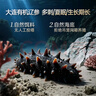 辽参大连有机冷冻海参1斤10-12只非即食京东自营旗舰店独立包装正品 实拍图