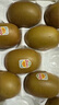 佳沛（zespri）新西兰  阳光金奇异果6粒装 单果约77-103g  源头直发  猕猴桃 实拍图