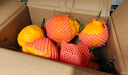 生活＆好管家四川丑橘不知火特大果新鲜水果桔橘子丑柑丑八怪整箱 4.5-5斤【超划算】净重4.5斤 果径75-80mm【中大果】 实拍图