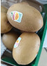 佳沛（zespri）新西兰  阳光金奇异果6粒装 单果约77-103g  源头直发  猕猴桃 实拍图