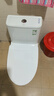 九牧（JOMOO）11173-2-1/31KB-3大力神普通马桶家用虹吸抗菌节水坐便器305坑距 实拍图