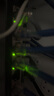 普联（TP-LINK）10口千兆8口PoE交换机 9口千兆电+1光 网络分线器分流器交换器TL-SG2210LPF 实拍图